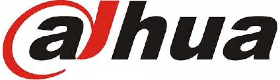 dahua